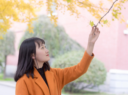 驻菲律宾大使馆各部门电话 可以办理哪些业务